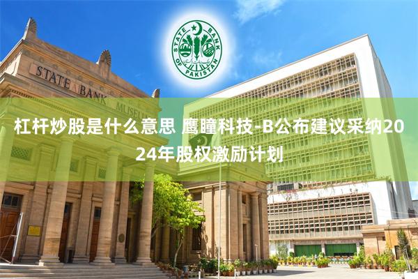 杠杆炒股是什么意思 鹰瞳科技-B公布建议采纳2024年股权激励计划