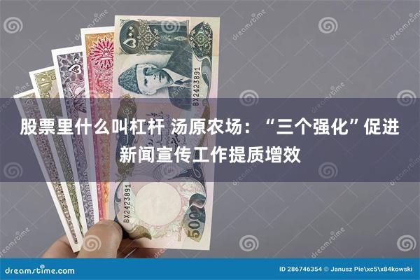 股票里什么叫杠杆 汤原农场：“三个强化”促进新闻宣传工作提质增效