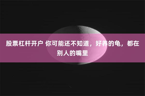 股票杠杆开户 你可能还不知道，好养的龟，都在别人的嘴里