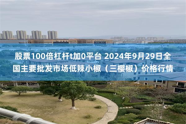 股票100倍杠杆t加0平台 2024年9月29日全国主要批发市场低辣小椒（三樱椒）价格行情