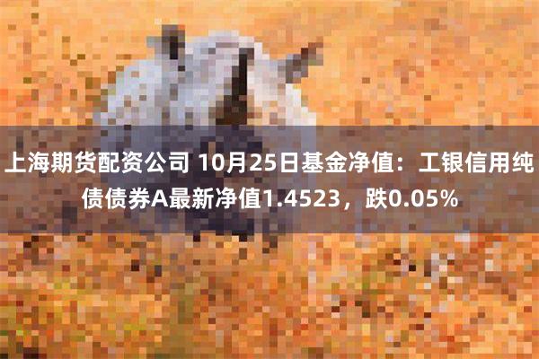 上海期货配资公司 10月25日基金净值：工银信用纯债债券A最新净值1.4523，跌0.05%