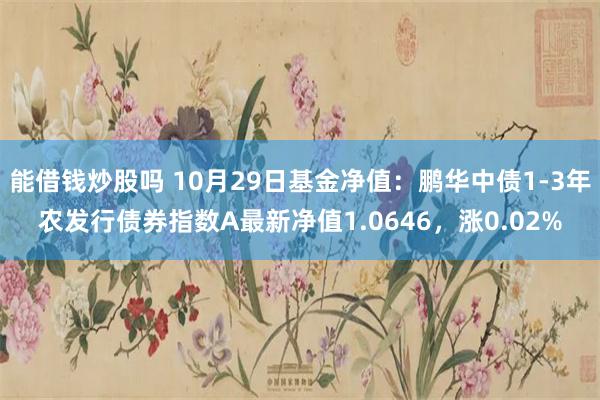 能借钱炒股吗 10月29日基金净值：鹏华中债1-3年农发行债券指数A最新净值1.0646，涨0.02%