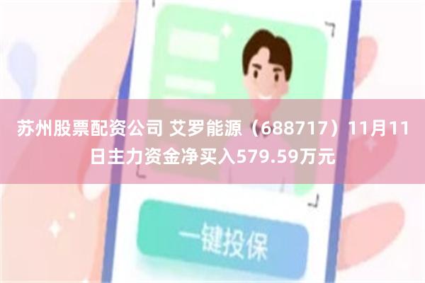 苏州股票配资公司 艾罗能源（688717）11月11日主力资金净买入579.59万元