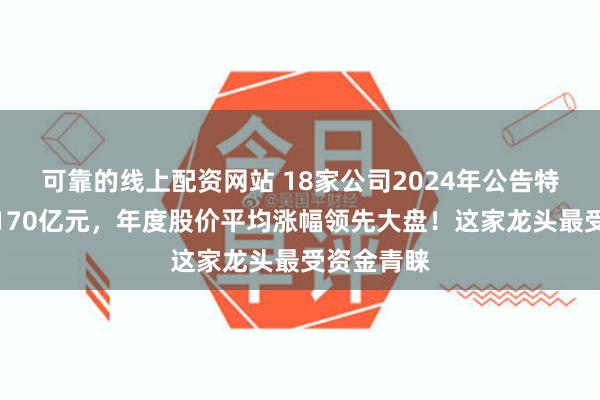 可靠的线上配资网站 18家公司2024年公告特别分红超170亿元，年度股价平均涨幅领先大盘！这家龙头最受资金青睐