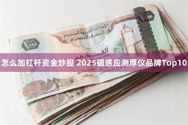 怎么加杠杆资金炒股 2025磁感应测厚仪品牌Top10